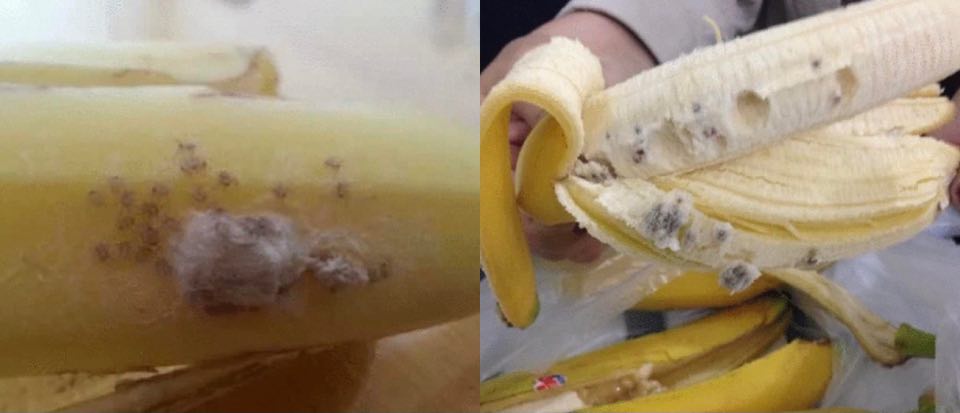 Любите банани? А знаєте, що вони можуть бути небезпечними? Якщо ви побачили на шкірці банана ось таке незрозуміле явище, не чіпайте його!