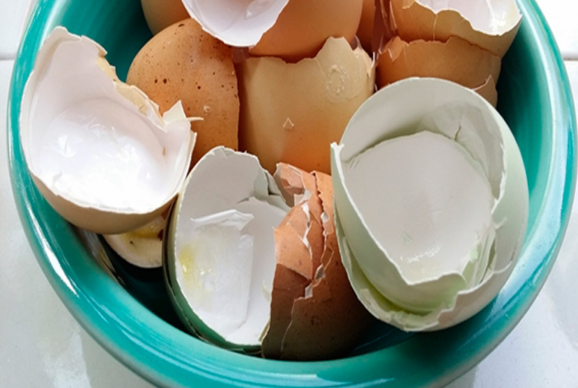 Ви назажди перестанете викидати яєчну шкаралупу, коли дізнаєтеся для чого її потрібно варити!