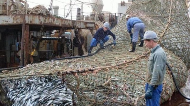 Ці рибалки розвантажували сіть, коли побачили щось жахливе… Ось такий улов!