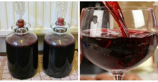 Був у Франції на заробітках і власник виноградників відкрив мені секрет, як в домашніх умовах зробити дуже смачне вино…