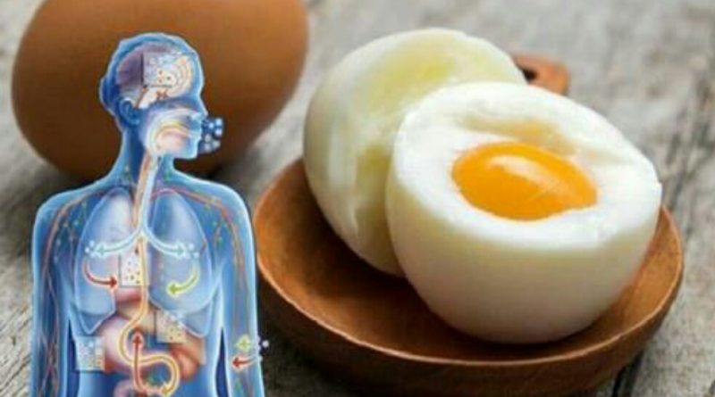 Це унікальний продукт! Просто почніть їстu два яйця в день, і ці дев’ять змін відбудуться в вашому тілі…