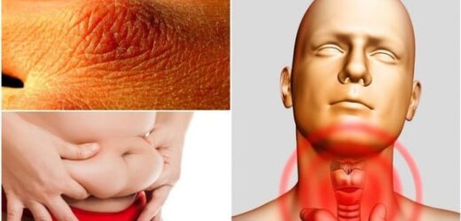 7 ранніх попереджувальних ознак неправильної роботи щитовидної залози, які ніколи не можна ігнорувати…