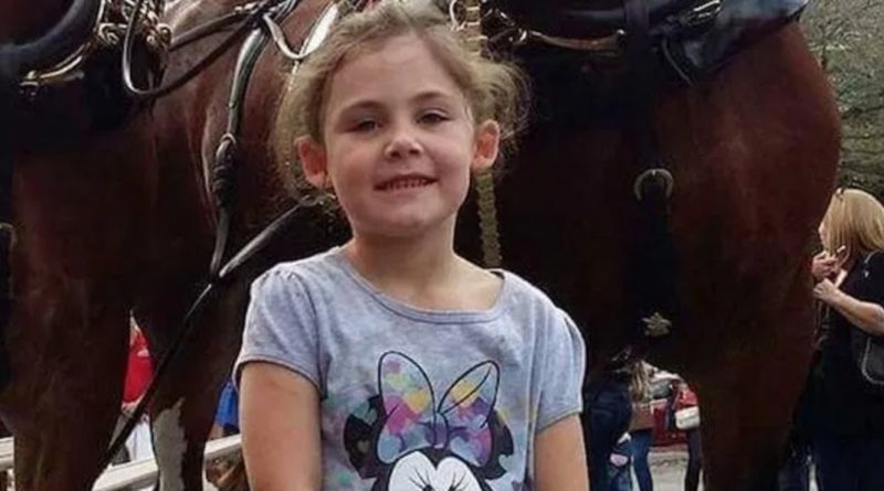 Коли ця маленька дівчинка вмовила свого тата сходити в парк атракціонів подивитися на коней, вона й гадки не мала, що стане новою зіркою інтернету…