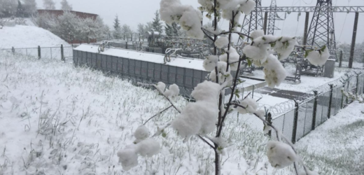 3а два дні наступає літо, але щось пішло не так. 3ахідну Україну засипало рясним снігом…