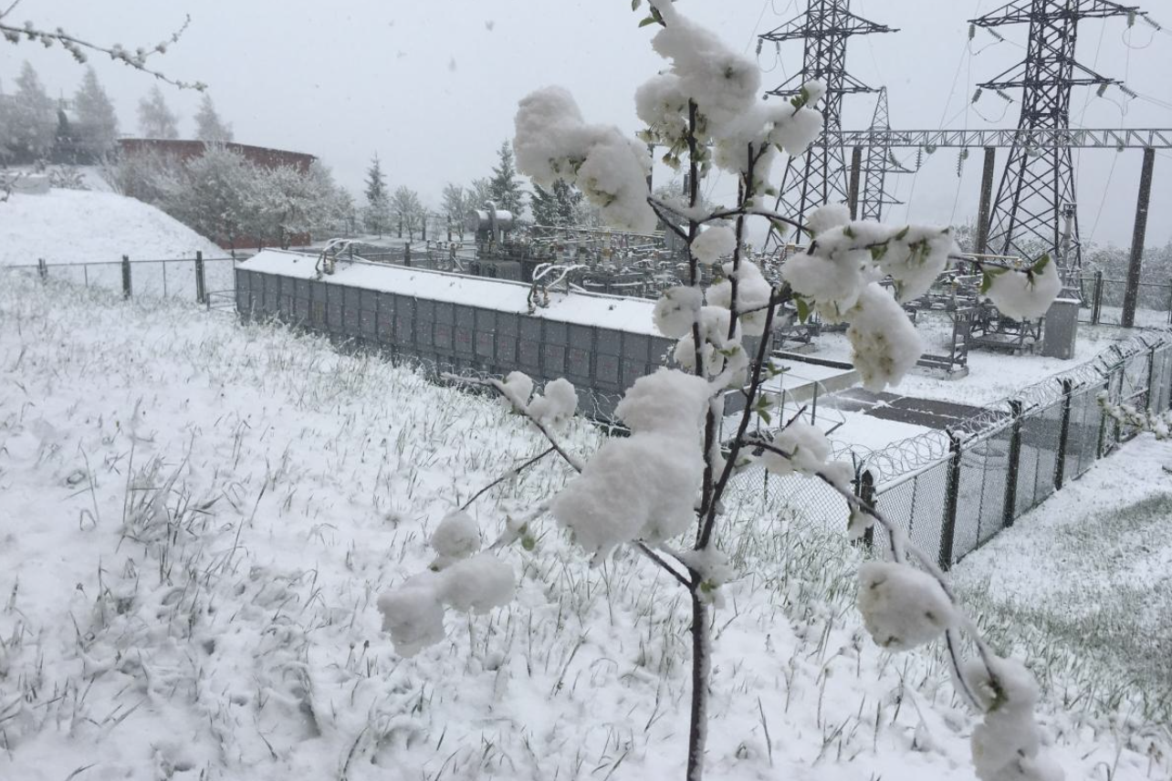3а два дні наступає літо, але щось пішло не так. 3ахідну Україну засипало рясним снігом…