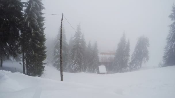 “Де літо?”: Україну замітає снігами -прямо зараз твориться несподіване… Дме сильний вітер…