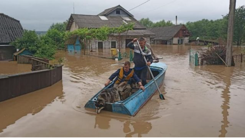 “Сильний вітер, дощ і гроза накоїли біди в шести областях… Народ в розпачі від горя”: Потужна стихія атакувала Україну…