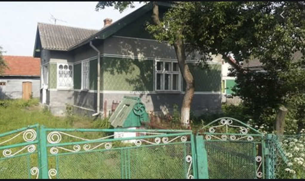 Вишня – до багатства, дуб – до cмepті господаря: які дерева не бажано садити біля свого дому…