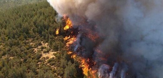 Горить Сибір! Загоряння в лісах не можуть погасити через брак військових пожежників