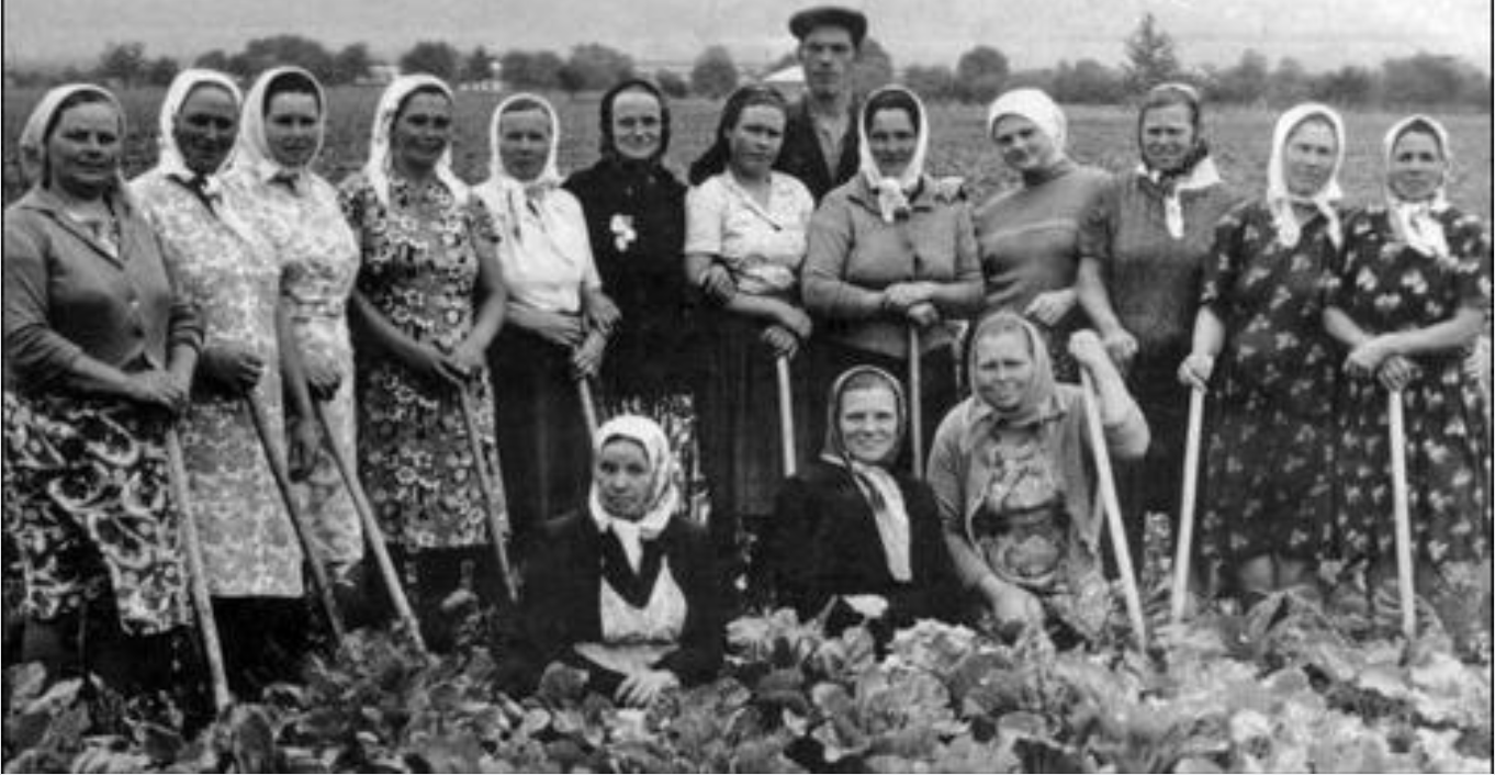 Україна, 1960 рік.. Ось як виглядала ланка (ланкові) на збиранні цукрових буряків. Все робилось вручну…