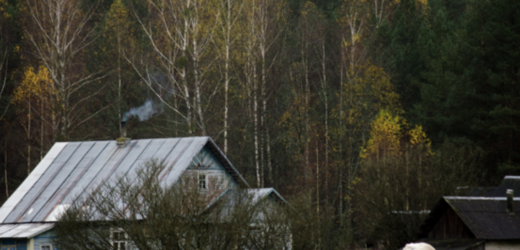 Родина вирішила прихистити літню тітку з села, навіть не уявляючи, до чого це призведе