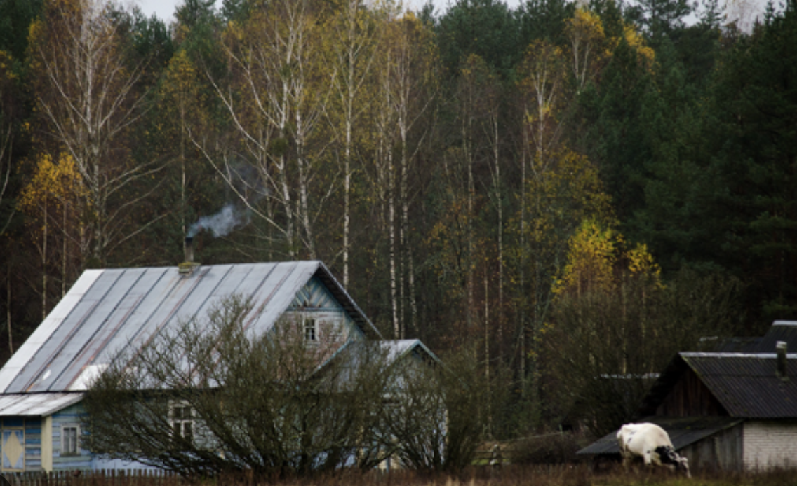 Родина вирішила прихистити літню тітку з села, навіть не уявляючи, до чого це призведе