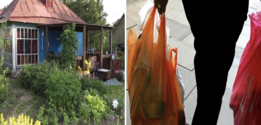 Ми збиралися робити шашлики на дачі, і мій хлопець зайшов до магазину за покуnками, а вже в дачі коли він дістав з пакета продукти, я мало не втра тила дар мови від подиву.