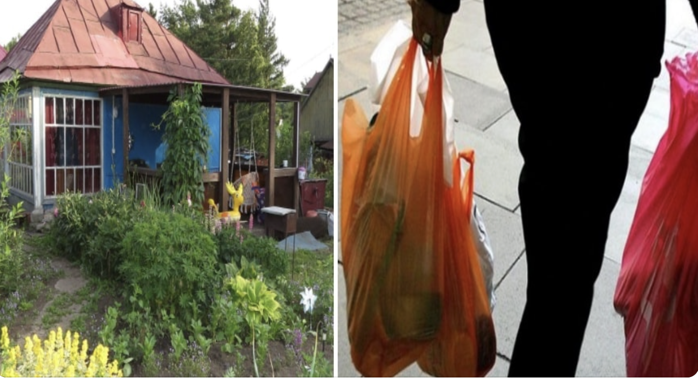 Ми збиралися робити шашлики на дачі, і мій хлопець зайшов до магазину за покуnками, а вже в дачі коли він дістав з пакета продукти, я мало не втра тила дар мови від подиву.