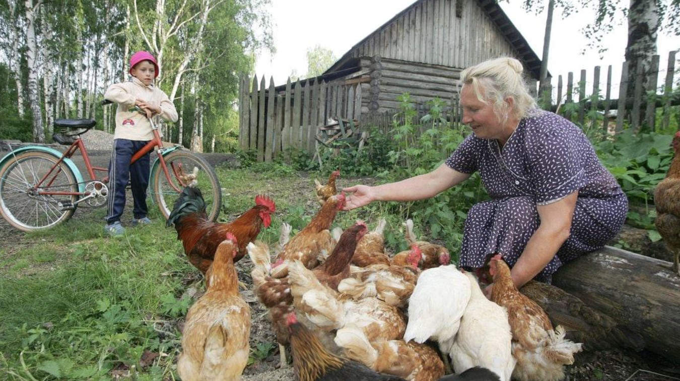 У мами по сусідству поселилася одна переселенка, Марта. Вона сама родом із Куп’янського району Харківської області. І тепер мама спокою не знає. То цукру позичте, то яєць, то підіть по хліб, то наберіть мені яблук з городу. Ну просто знущається навмисне над старшою жінкою. Остання її витівка ну вже дуже розізлила. І я вирішила: так далі тривати не може!