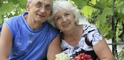 Я вже сама не хочу пускати чоловіка до батьків у село. Бо щоразу повертається з порожніми руками та гаманцем. Ні банки огірків, ні молока чи бодай 1 яєчка – нічого не дають.  Зате гроші просять так жалісливо! І от нещодавно приїхав Денис, бачу, що засмучений – Слухай, тут мама дещо просила.. Коли почула, що задумала свекруха – то так розлютилася! Вже геть страх втратили чи що?!