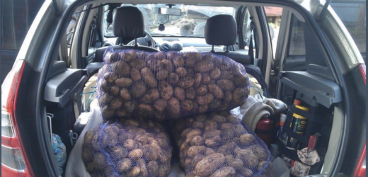 – Я тебе наскрізь бачу, хочеш витягти з моїх батьків всі гроші! Ти ніхто в нашій сім’ї! – Слова зовиці вразили в саме серце. Чоловік покинув мене, невже я не маю права спілкуватися з його батьками? Особливо, коли мені так важко! Та те, що сталося нещодавно у свекрів – остаточно зіпсувало наші стосунки.