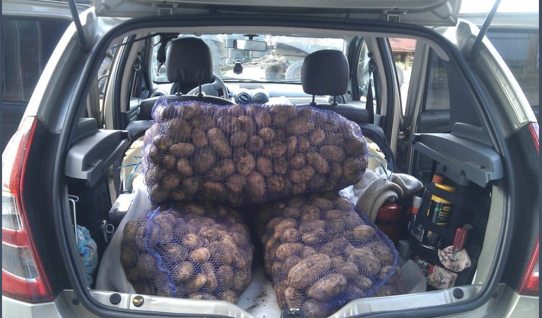 – Я тебе наскрізь бачу, хочеш витягти з моїх батьків всі гроші! Ти ніхто в нашій сім’ї! – Слова зовиці вразили в саме серце. Чоловік покинув мене, невже я не маю права спілкуватися з його батьками? Особливо, коли мені так важко! Та те, що сталося нещодавно у свекрів – остаточно зіпсувало наші стосунки.