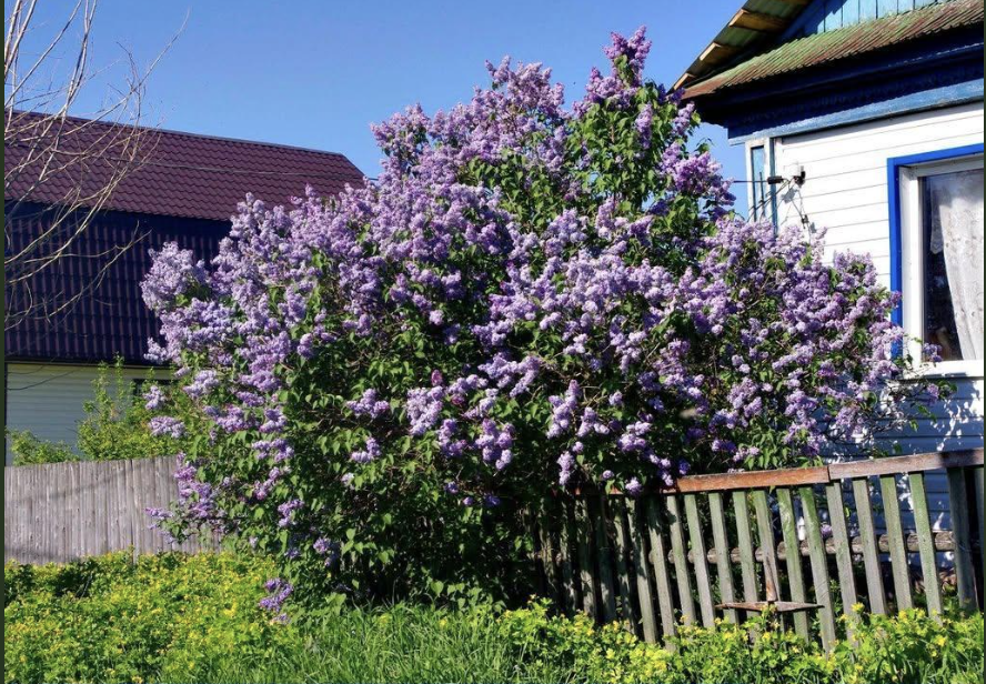 Я поїхала на заробітки заради дітей. Та коли повернулась через кілька років – на мене чекав сюрприз. Донька мене зустріла пузата. Тож вибору я не мала, дозволила їй жити з Тарасом в моїй хаті. Та я зовсім не думала, що на це так відреагує мій син…