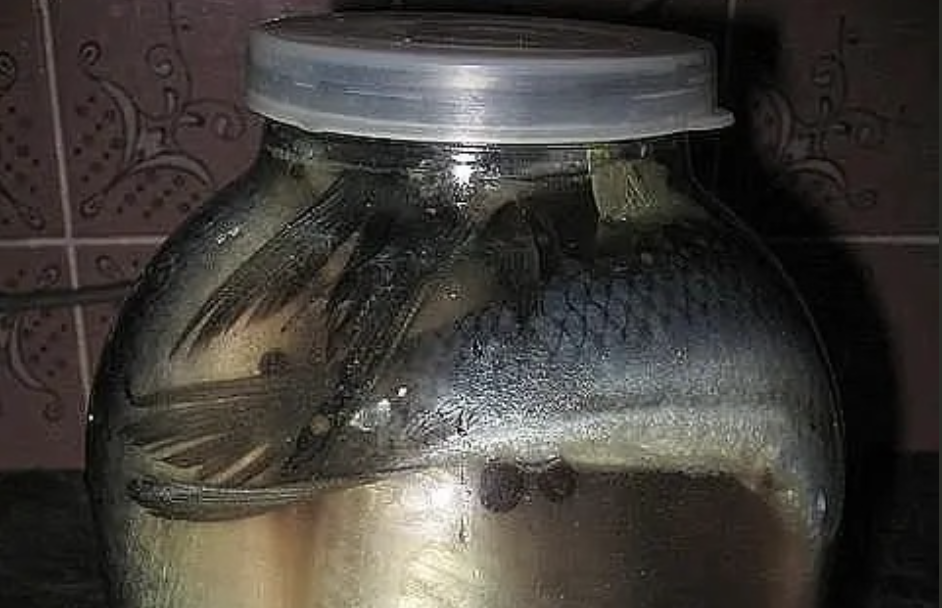 Нереально смачний та бюджетний рецепт засолювання оселедця у банці. На смаk просто “бомба”…