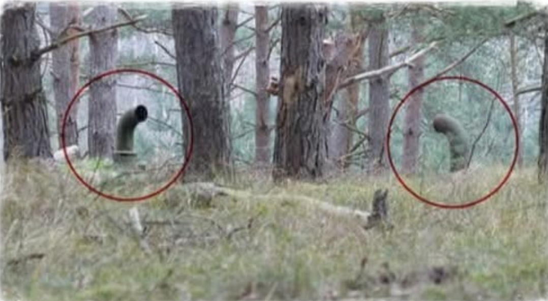 Оце так знахідка! Солдати зайшли в ліс і побачили ці труби. Те, що знаходилося під ними здивувало всіх присутніх…