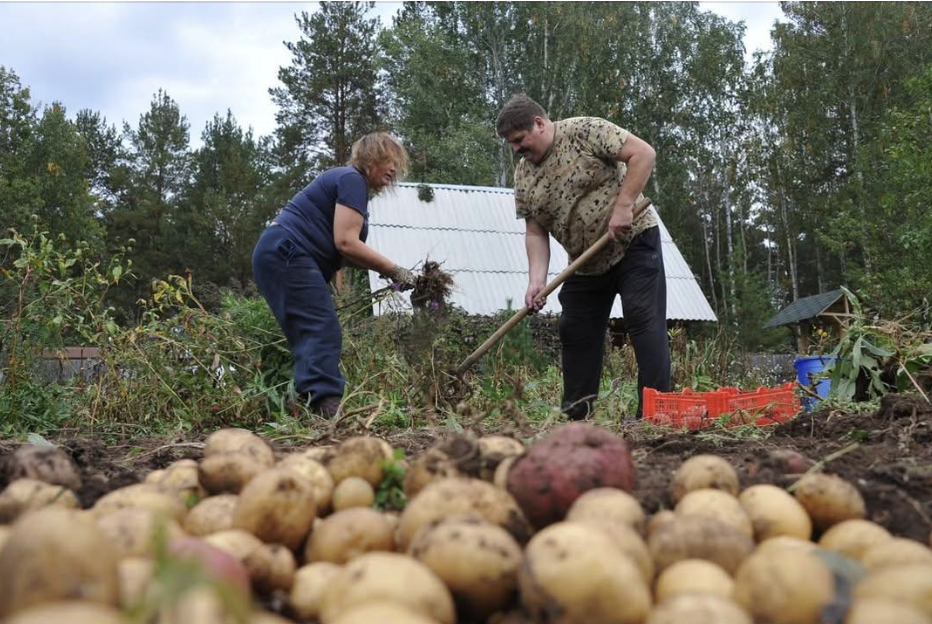 Збираю дітей до школи, а чоловік виходить у спортивних штанах і футболці. – Ти так дітей повезеш? – питаю я. Відповідь Сергія мене дуже здивувала. Виявляється у свекрухи були свої плани. І з нами, звісно, ніхто не порадився. Так дітям і мені настрій зіпсували!