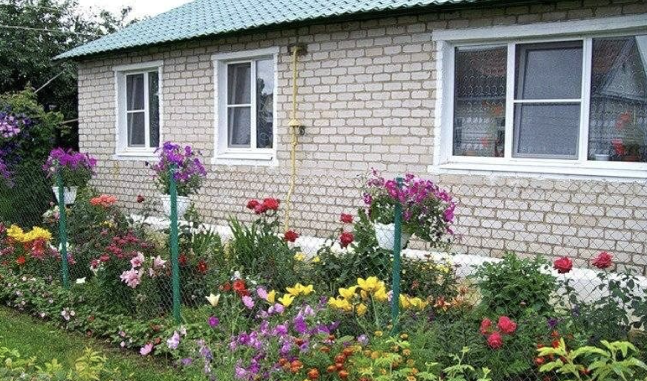 Допоможи, ми ж не чужі люди. У нас і на дітей грошей нема! – братова дружина плакала в трубку, благала. Згодом ще й листа написала. І я б погодилась, якби кілька років тому вони зі мною не вчинили так підступно.