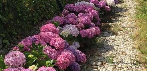 Мама була проти… Uncategorized Мама була проти… 6 Вересня, 2025 – Мама проти! Антоне, ти розумієш? Мати проти! – Зі сльозами в голосі говорила молоденька дівчина своєму коханому.