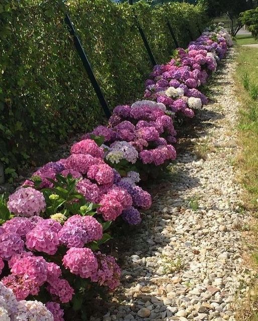 Мама була проти… Uncategorized Мама була проти… 6 Вересня, 2025 – Мама проти! Антоне, ти розумієш? Мати проти! – Зі сльозами в голосі говорила молоденька дівчина своєму коханому.