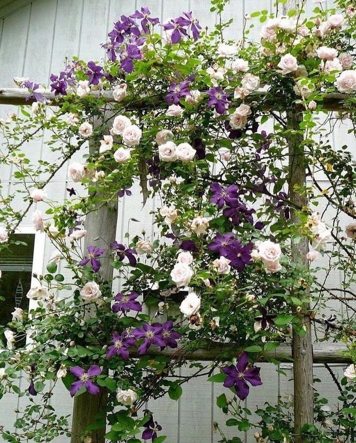 – Мама каже, що тато у лікарні, а він удома у тітки Свєти, – видала восьмирічна Поліна, розмішуючи ложкою кашу. Бабуся Галина Іванівна мало не випустила кухоль з чаєм