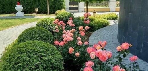 – Віддай ці гроші моїм батькам, у тебе вони все одно просто так лежать, – попросив чоловік. Але дружина дала гідну відповідь…