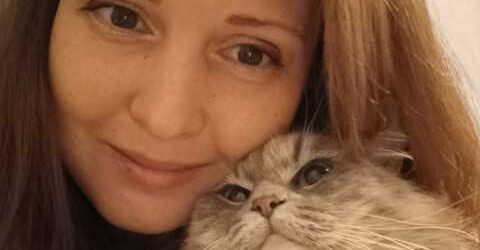 — Напевно, у тебе, Вадиме, з’явився двійник, — розповідала Оля чоловікові, — то там тебе бачили, то тут. А ти в цей час на роботі був. — Буває, — говорив чоловік, — кажуть, у кожної людини є на землі кілька двійників. — Щось усі двійники з усієї землі зібралися у нас у місті. І що дивно, всі форс-мажори у вас на роботі різко почалися, коли якраз люди стали бачити твоїх двійників.Це підступи ворогів, не інакше, Вадику. Прямо якась локальна воронка прокляття над вашим підприємством.