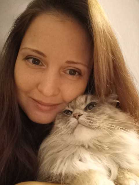 — Напевно, у тебе, Вадиме, з’явився двійник, — розповідала Оля чоловікові, — то там тебе бачили, то тут. А ти в цей час на роботі був. — Буває, — говорив чоловік, — кажуть, у кожної людини є на землі кілька двійників. — Щось усі двійники з усієї землі зібралися у нас у місті. І що дивно, всі форс-мажори у вас на роботі різко почалися, коли якраз люди стали бачити твоїх двійників.Це підступи ворогів, не інакше, Вадику. Прямо якась локальна воронка прокляття над вашим підприємством.