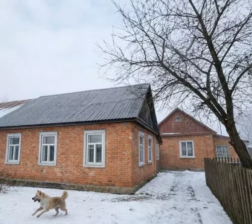 Діти одразу втекли до кімнати, а він, Аліна та Семен повернулися додому після візиту до батьків чоловіка.…