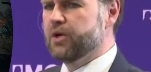 “Торгуємось за кілька кілометрів”: Венс розкрив нові деталі мирних переговорів