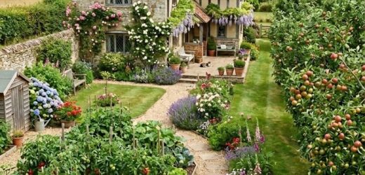 Приїхавши на власну дачу, Марина навіть очманіла від побаченого і не одразу знайшлася, що сказати.