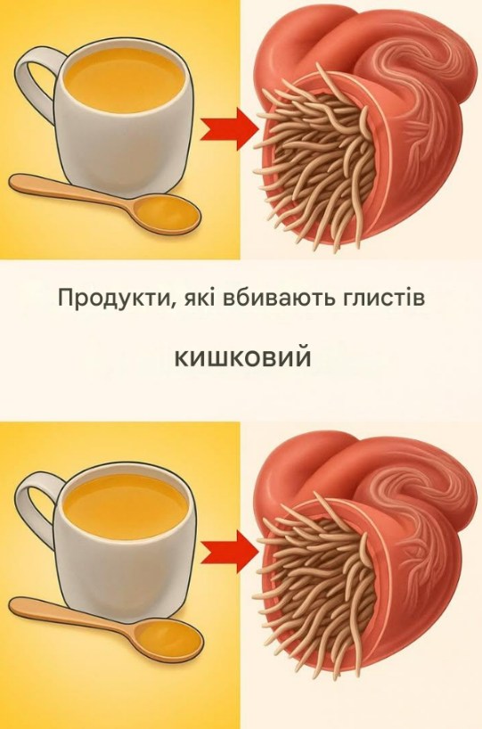 13 продуктів, які вбивають кишкових глистів
