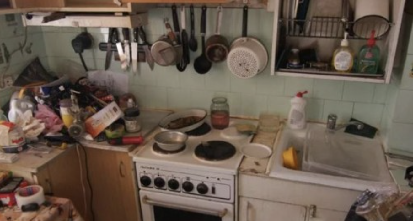 Коли я зустріла Івана, я заkохалася в нього з першого погляду. Він був дуже добрим і дбайливим, але ми зустрічалися у мене вдома. Після того, як він зробив мені пропозицію, він запросив мене до себе додому. Коли ми приїхали до нього додому, батька не було вдома, а мати бігала квартирою в старому рваному халаті, готувала вечерю. Я була вражена, побачивши, що в такій великій квартирі жили всього три людини, і вона була дуже брудною. На кухні було жирно, стіни та підлога були брудні, а на столі валялася купа непотрібного ганчір’я. Насамкінець у їхньому будинку було два коти. Коли батько Івана повернувся з роботи, ми сіли вечеряти. Їжа була простою, але я не могла багато їсти через бруд на кухні. Я й не підозрювала, що скоро стану другою господаркою цього будинку…