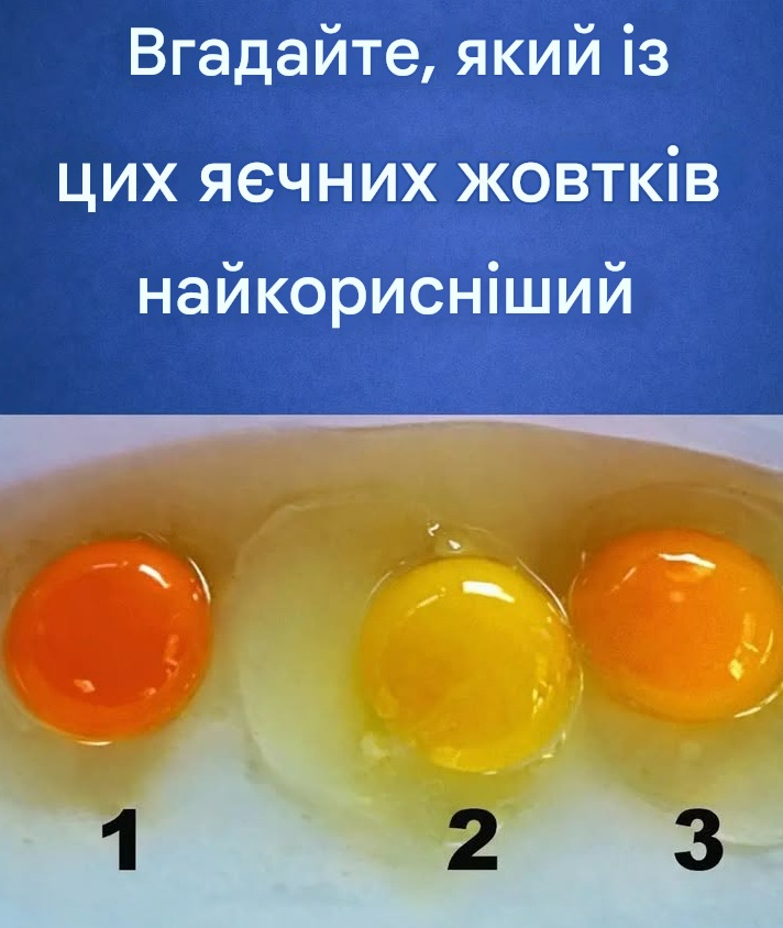 Харчова цінність яєць