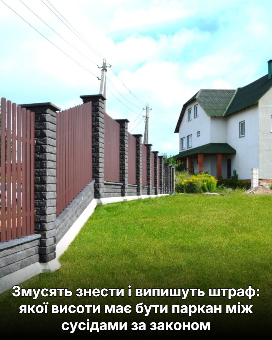 Змусять знести і випишуть штраф: якої висоти має бути паркан між сусідами за законом