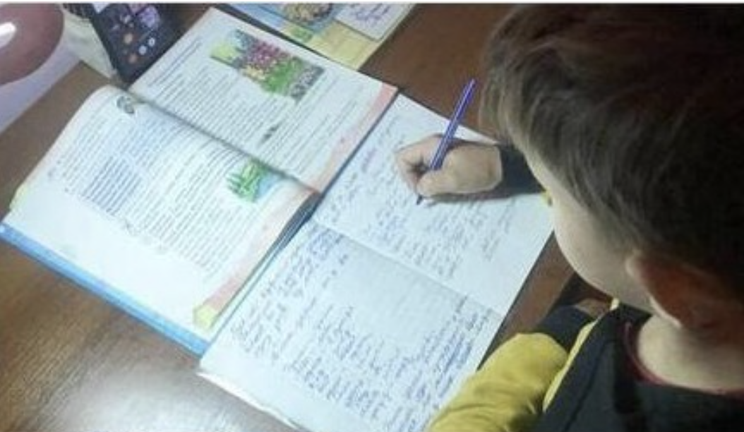 Вчора послухав твір сина про зайців – тепер розумію, чому у вчителів до мене стільки питань. Боюся, що нас обох тепер викличуть до директора.