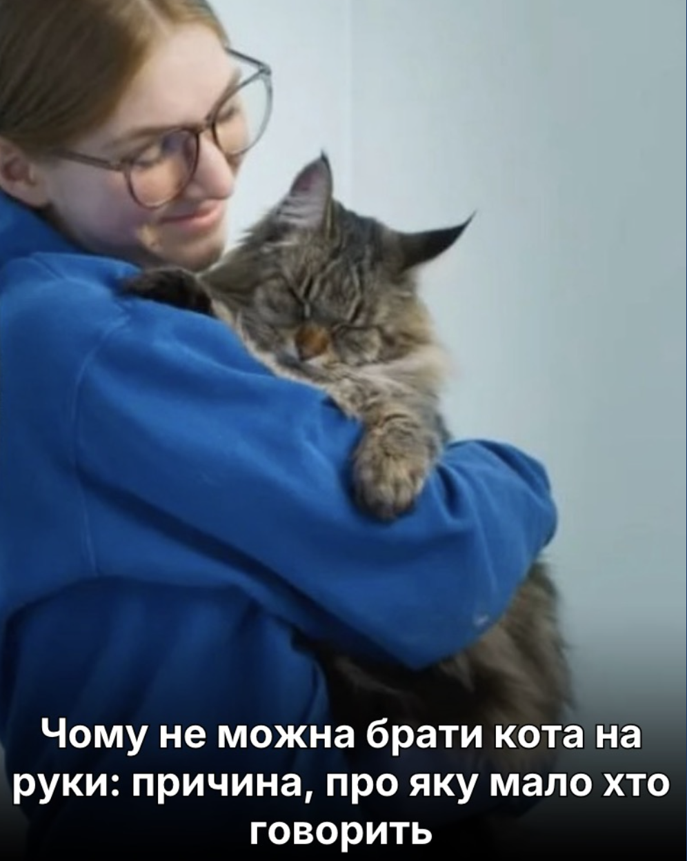 Чому не можна брати кота на руки: причина, про яку мало хто говорить….
