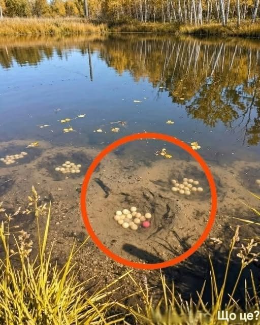 У нашому селі є штучне озеро.