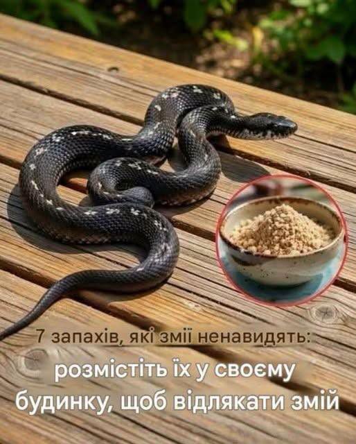 Від аміаку та оцту до коричної олії