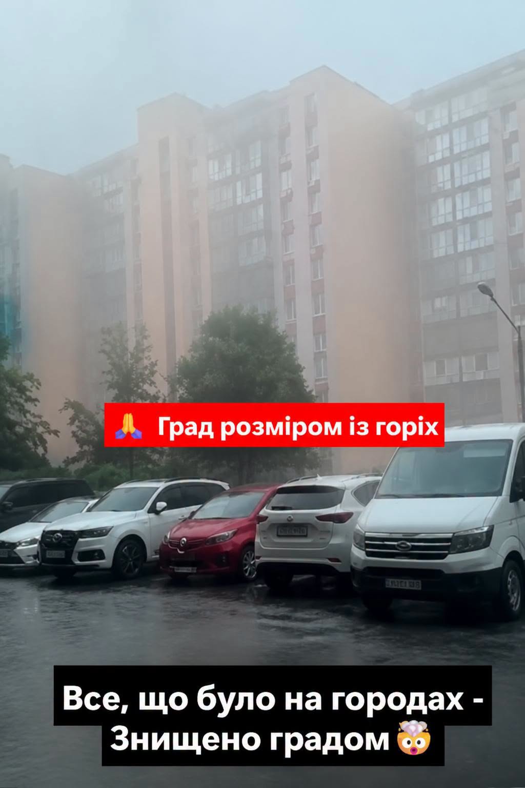 Град розміром із горіх і повалені дерева.. Все, що було на городах – Знищено градом