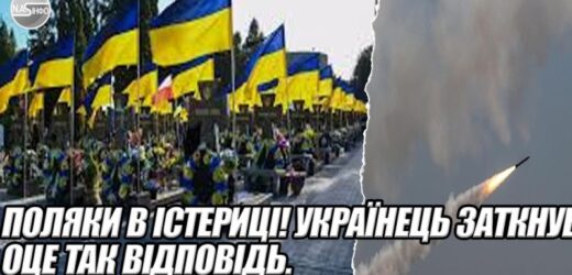 Поляки в ІСТЕРИЦІ! УКРАЇНЕЦЬ заткнув. ОЦЕ ТАК відповідь. ЗРАЗУ ПІСЛЯ росіян. ГЛЯНЬТЕ на наші могили