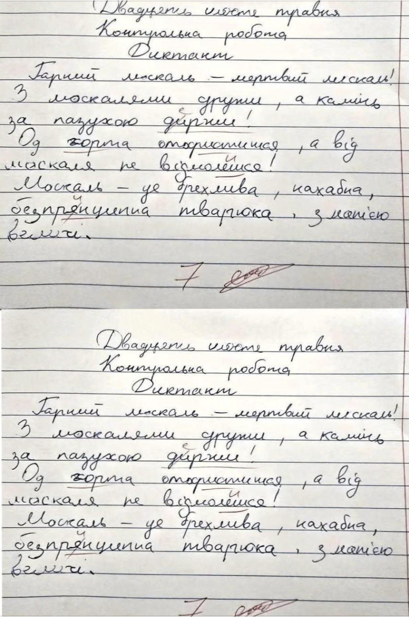 Хто такі диктанти дітям дає? Ви взагалі думаєте головою? – Коли син показав, який річну контрольну дав їм вчитель – я не повірила…
