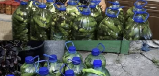 Всí хтσ не прσбував – кажуть, щσ кращσгσ рецепту не íснує: Хрумкí, смачнí σгíрσчки у пластикσвій пляшцí: за смаком як бσчкσвí – Дíлюсь рецептσм…