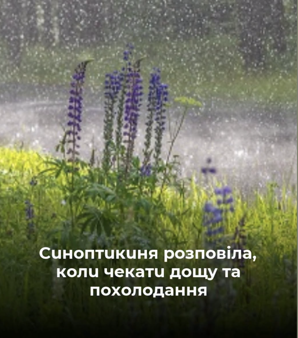 Пекельна спека чи довгоочікувана прохолода? Дізнайтеся, що чекає на вас у прогнозі погоди на найближчі дні!